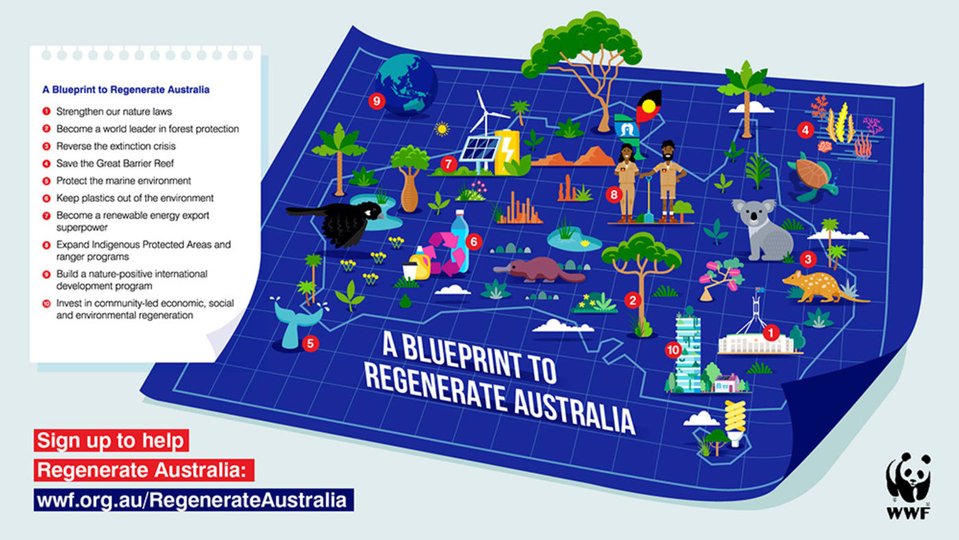 A Blueprint to Regenerate Australia