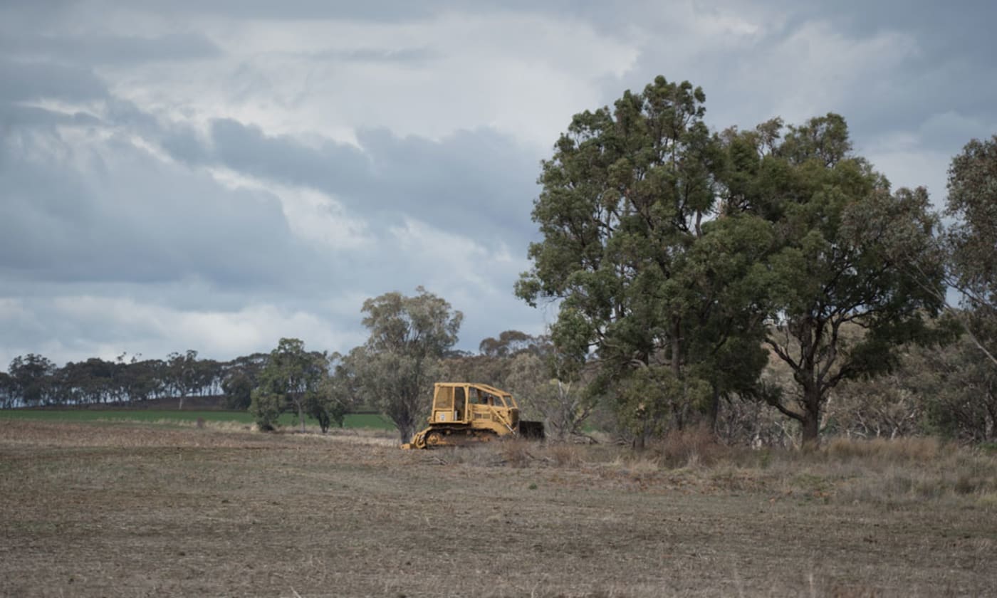 Stationary bulldozer in front of trees near Inverell= NSW