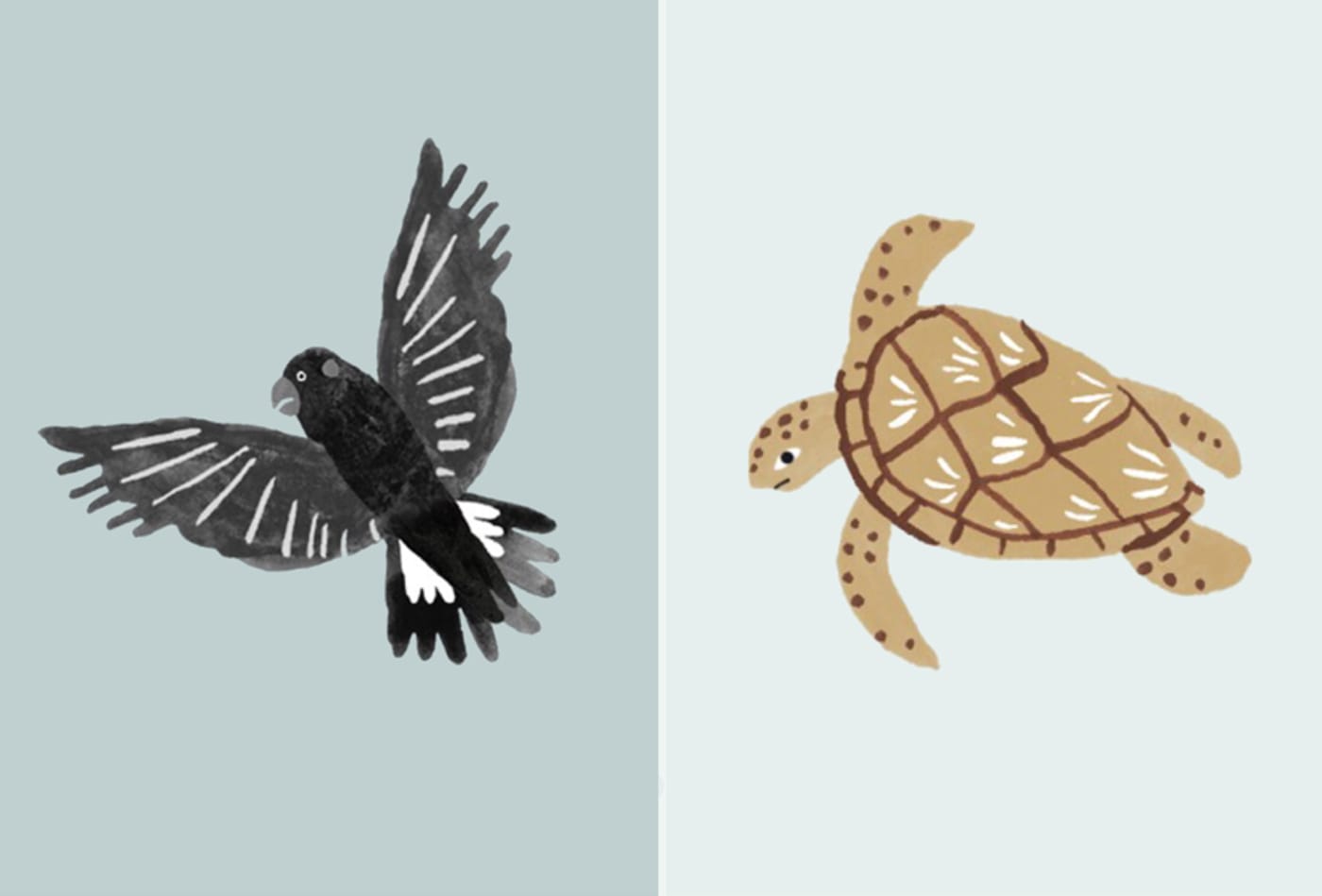 Black cockatoo and turtle illustration
