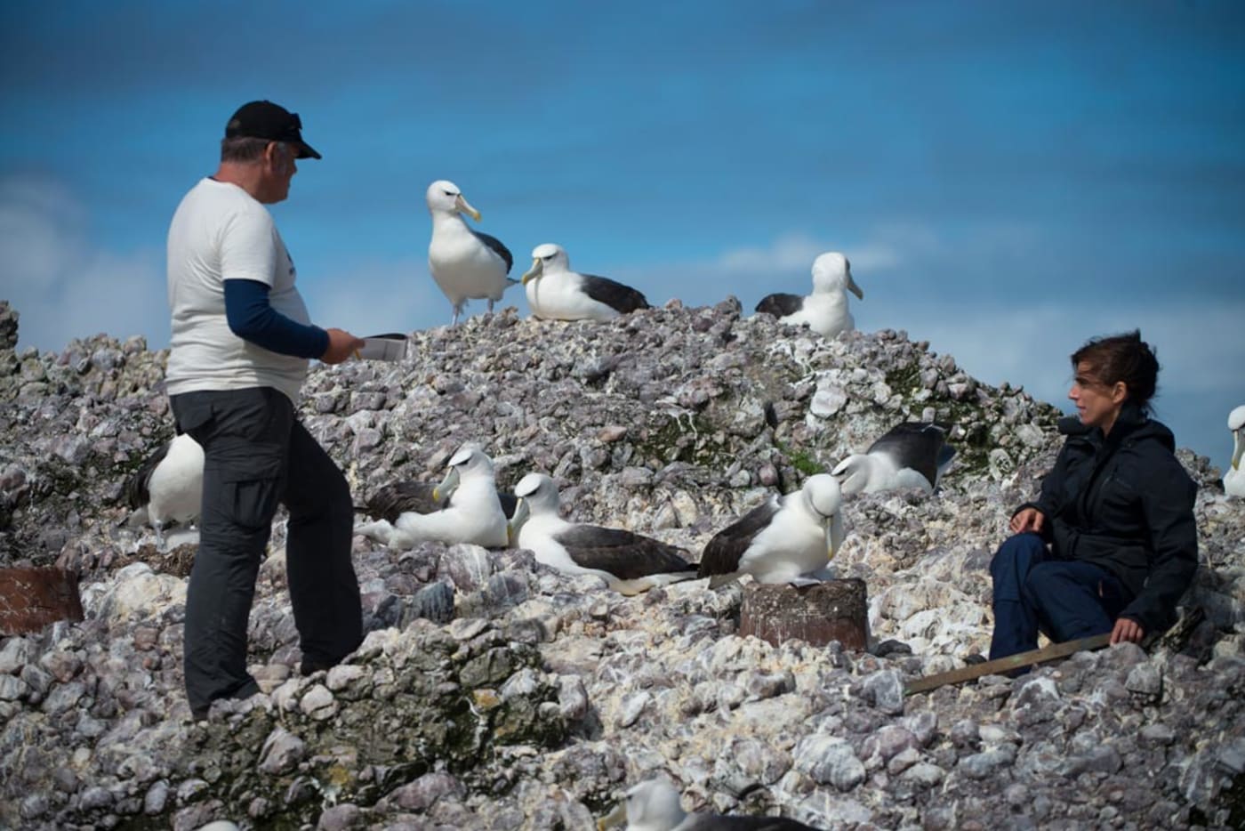 Darren Grover and Dr Rachael Alderman doing research on Albatross Island