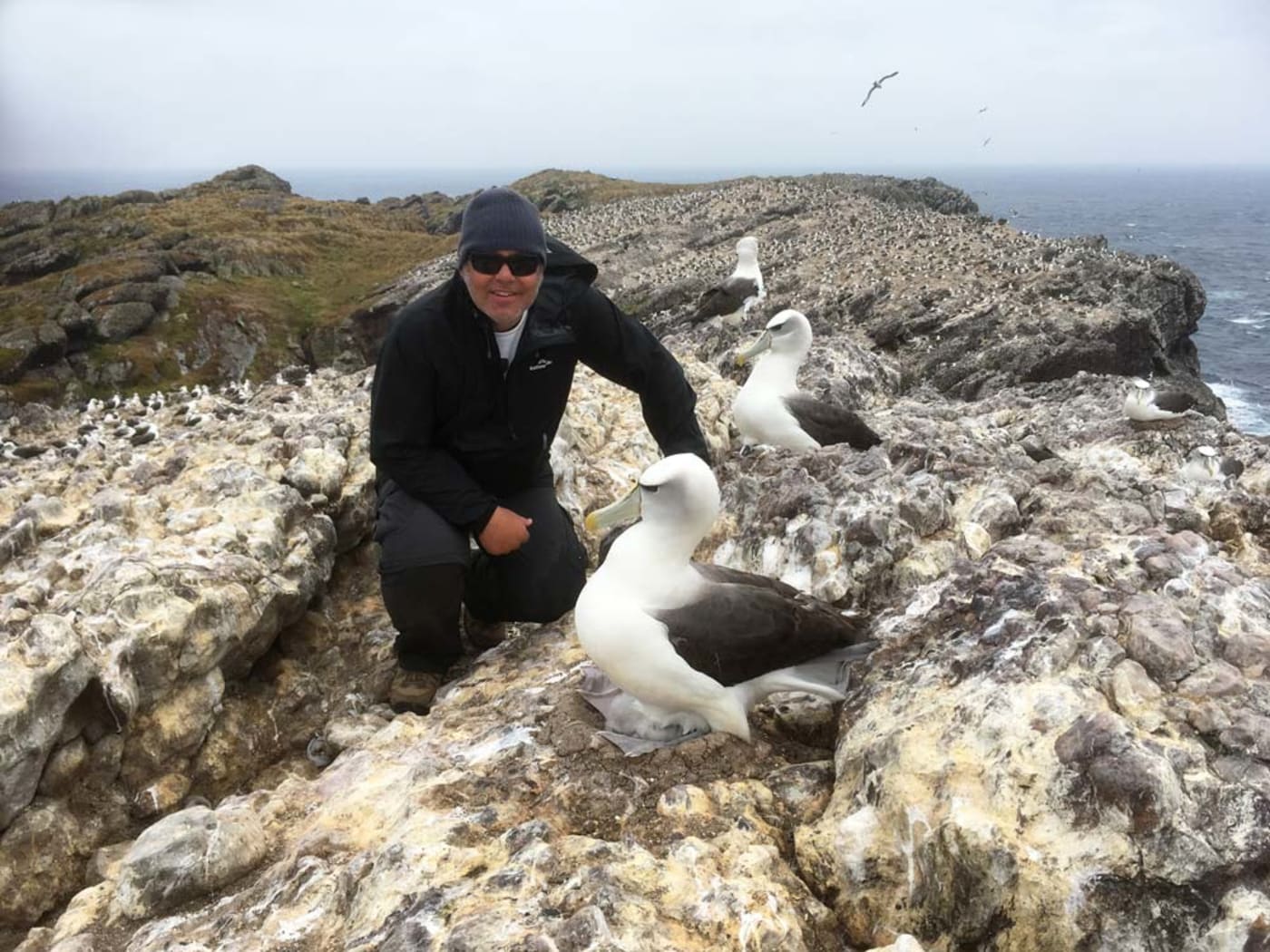 Darren Grover with Shy Albatross on Albatross Island