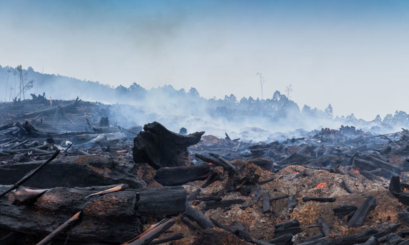 Bushfire and deforestation in Australian outback