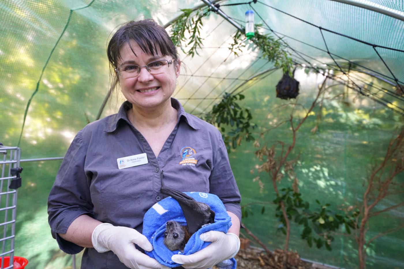 Dr Anne Fowler with RJ the juvenile flying fox