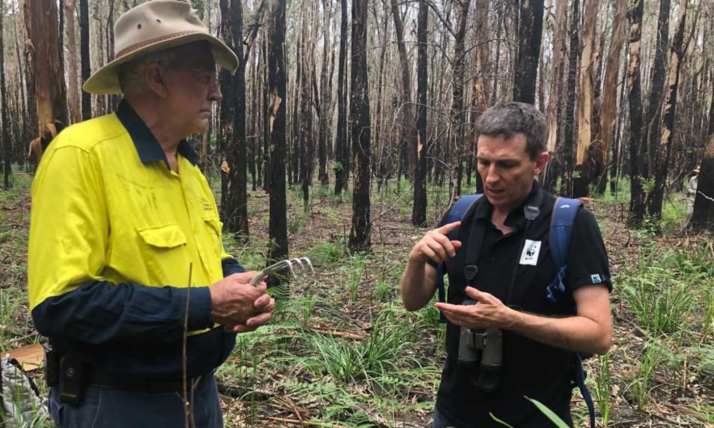 Dr Stuart Blanch from WWF-Australia and Stephen Phillips from Biolink searching for koalas post bushfires