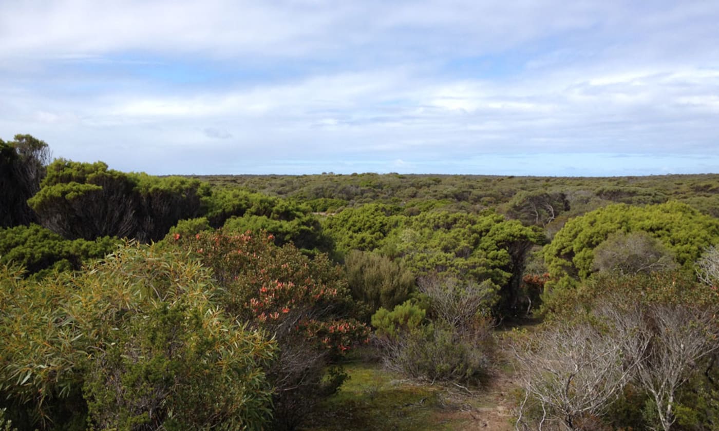 Innes National Park on the Yorke Peninsula in South Australia