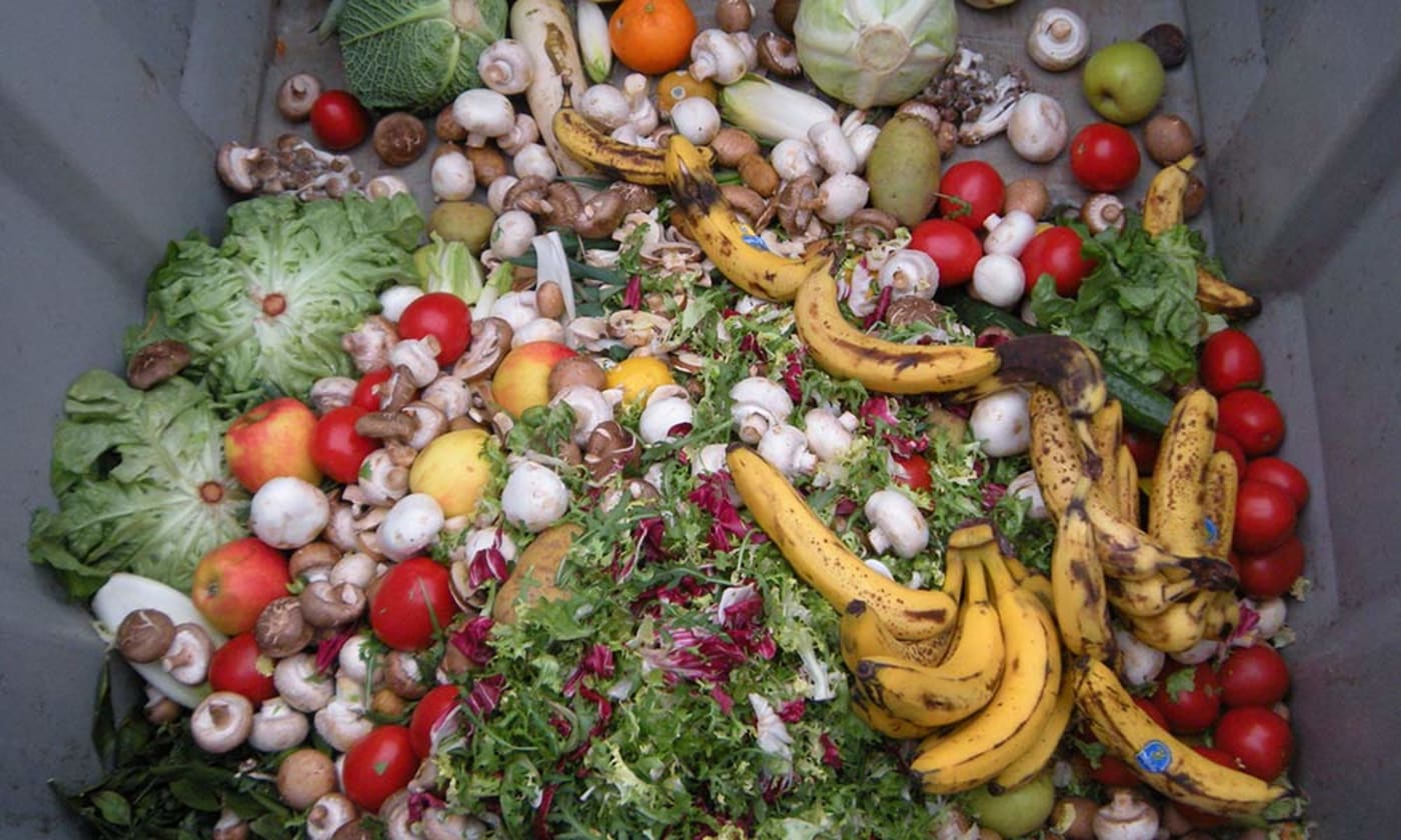 Trashed vegetables in dumpster GNU Foerster / commons.wikimedia