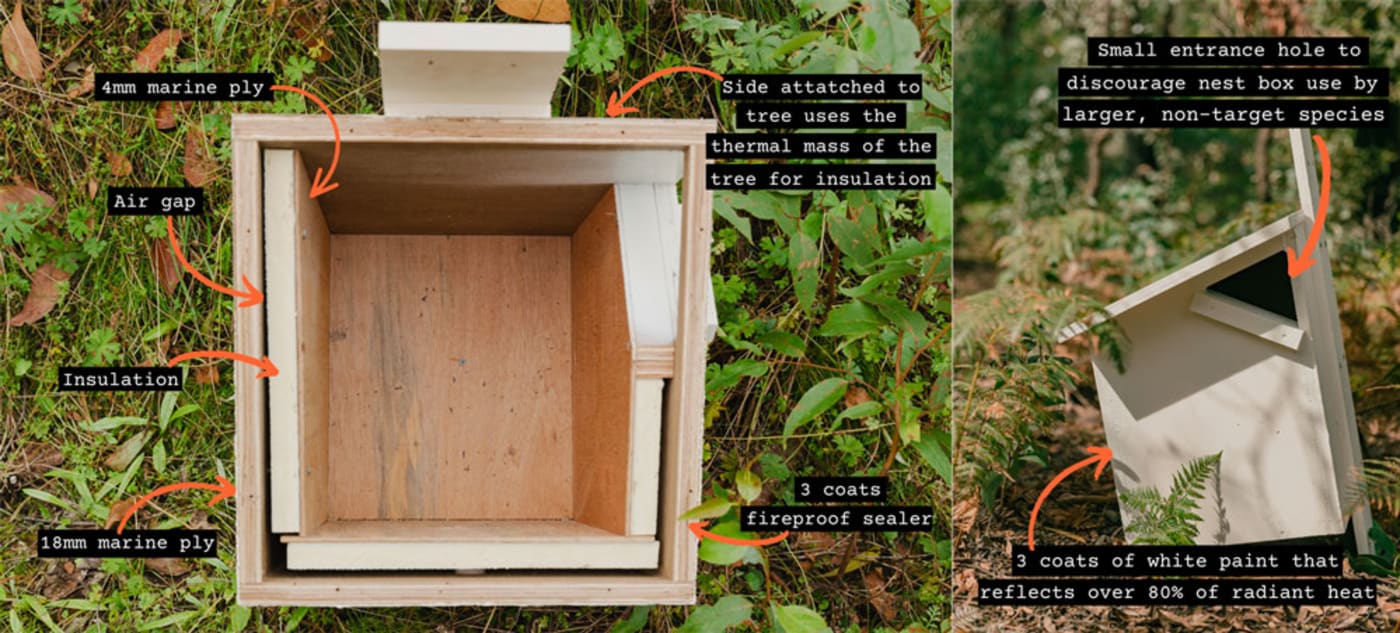 Infographic of greater glider nest box materials