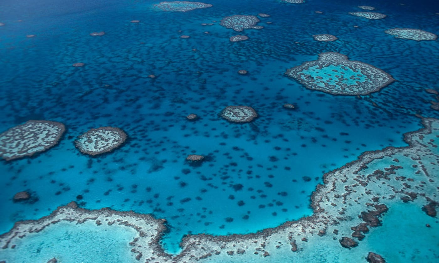 Hardy Reef= aerial view. Great Barrier Reef