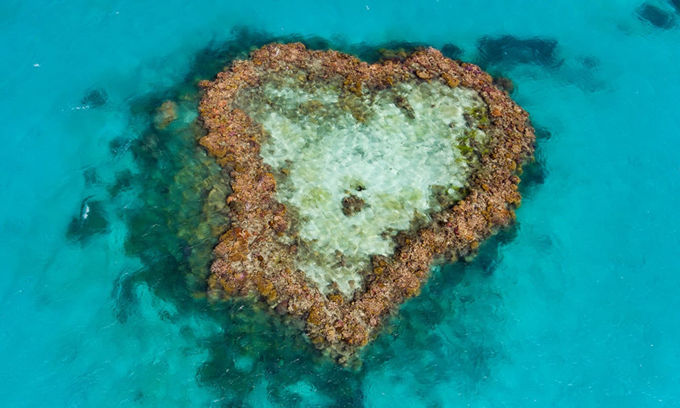 Aerial view of Hardy Reef taken on 20 June 2017 to assess if the Heart Reef has been bleached
