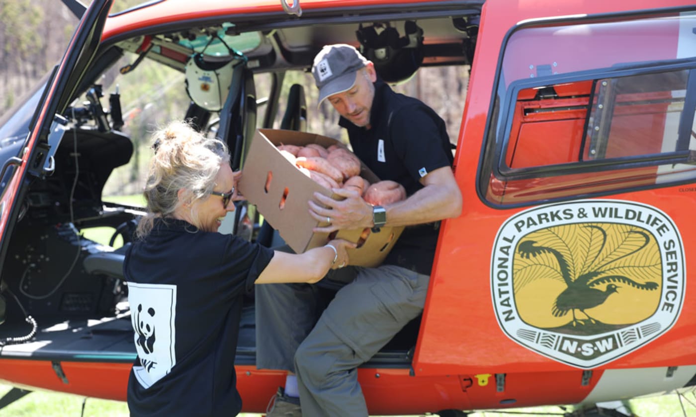 Jennifer Ford and Tim Cronin from WWF-Australia loading vegetables as part of an aerial food drop program