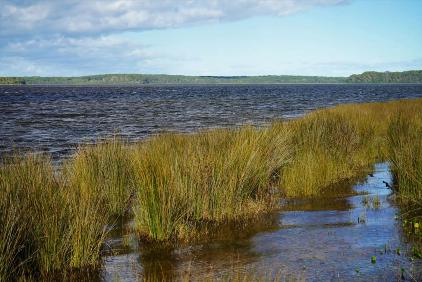 Benefits of nature  NSW Environment and Heritage