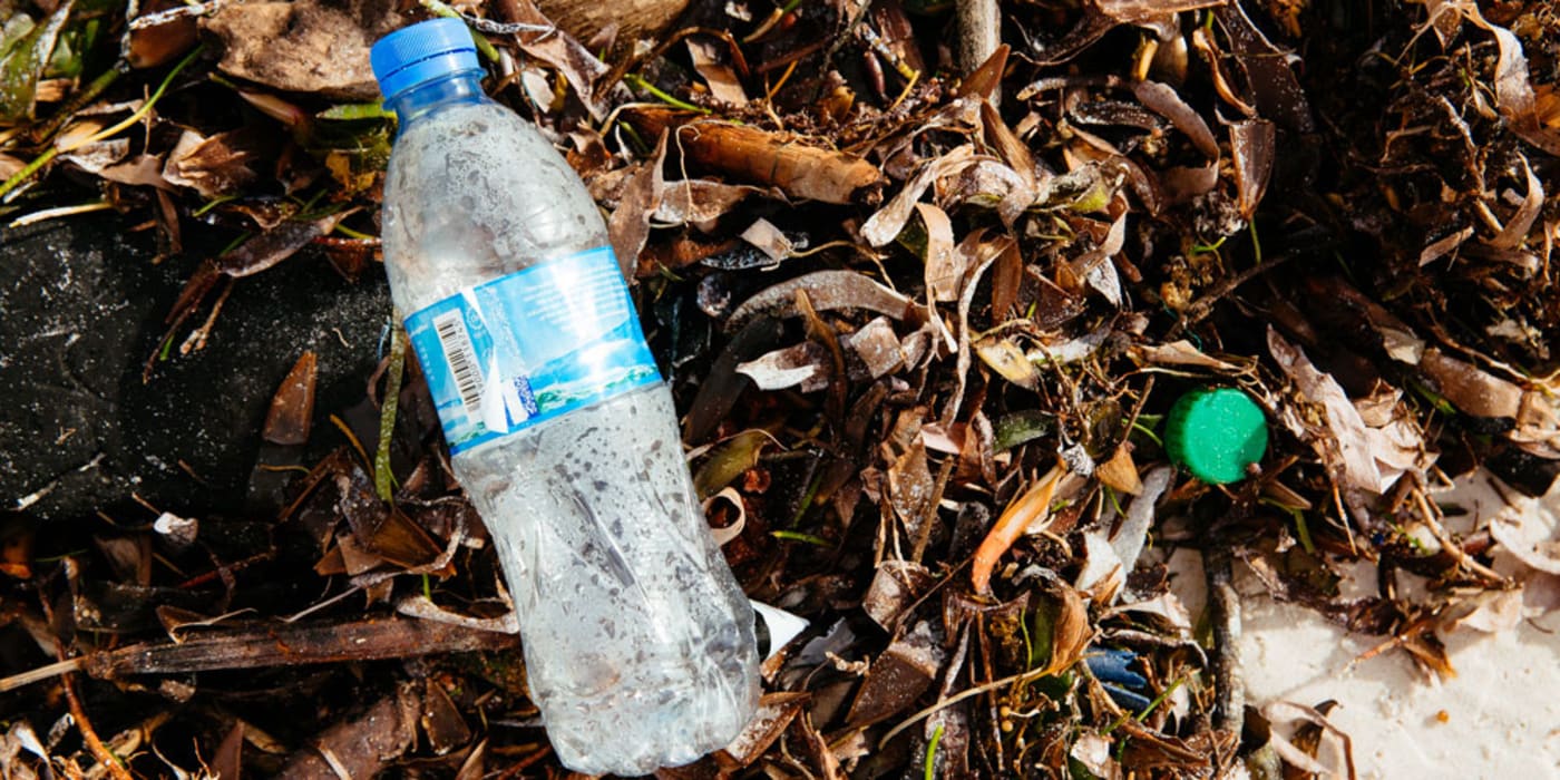 Paper Water Bottle  Compostable. Biodegradable. Recyclable