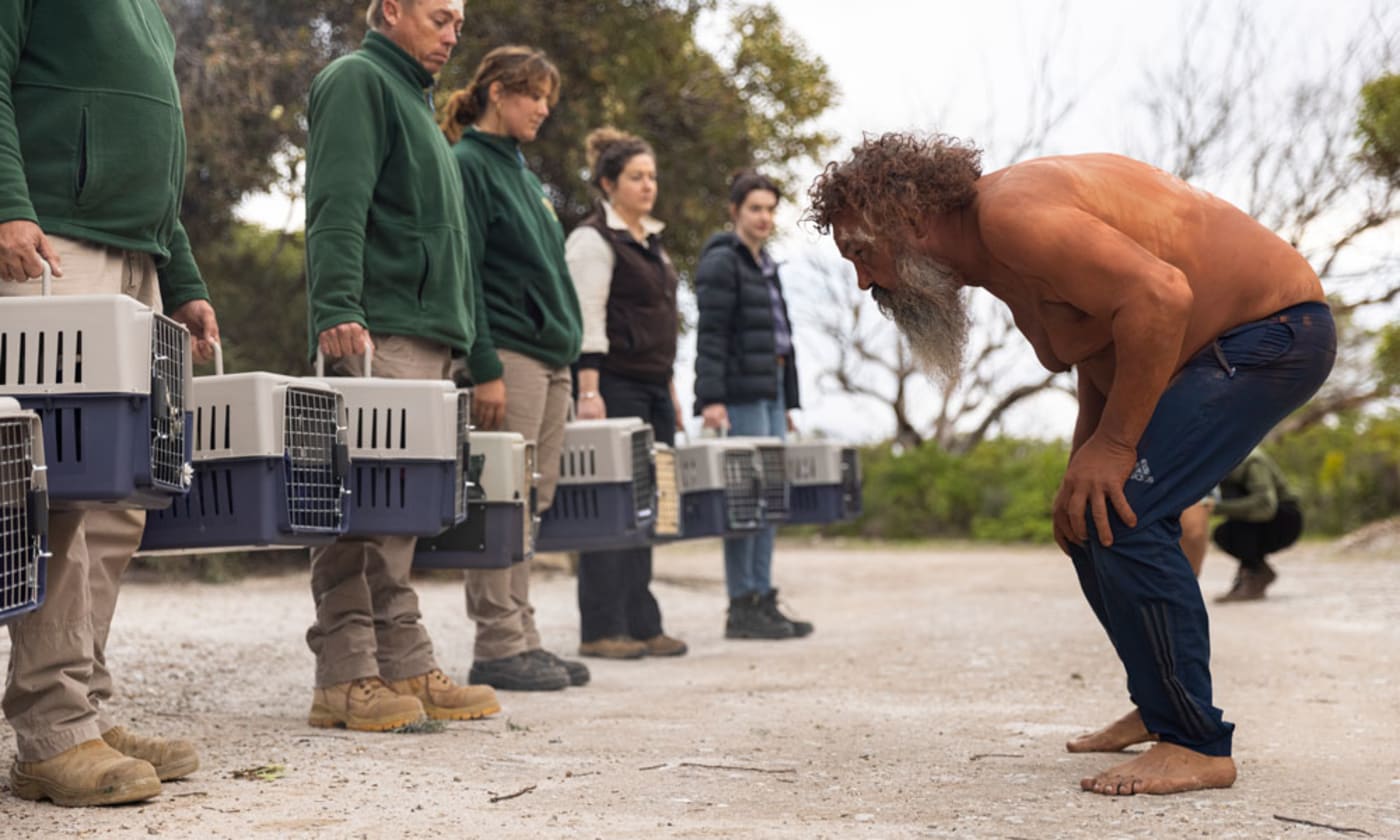 Narungga Elder Quenten Agius welcomes brush-tailed bettongs back to Guurunda Country= Yorke Peninsula