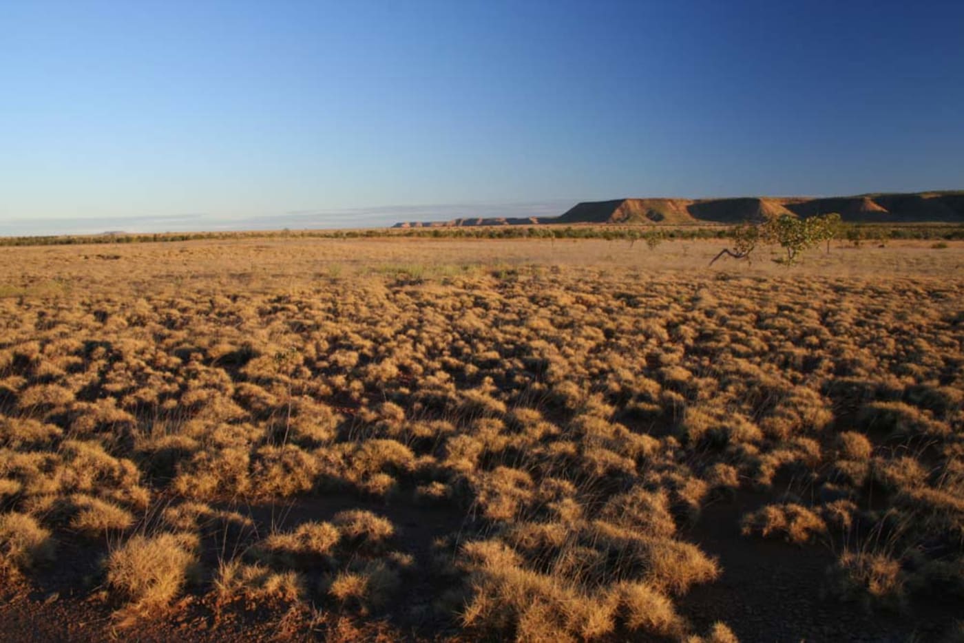 Sunset landscape in the central kimberley with spinifex grass and sandstone ridges