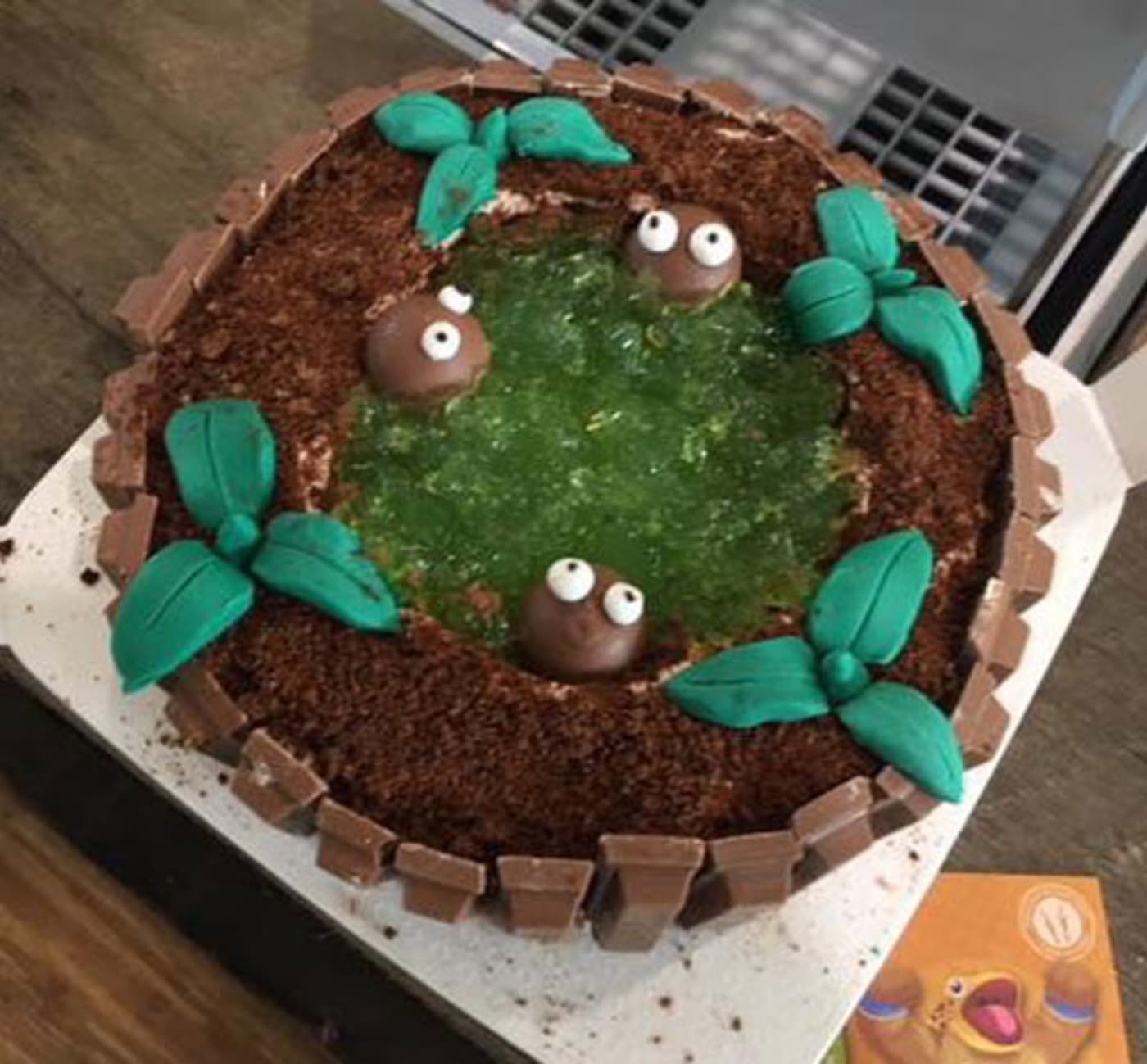 2018  Threatened Species Baw Baw Frog cake entry by Rachel Lowry