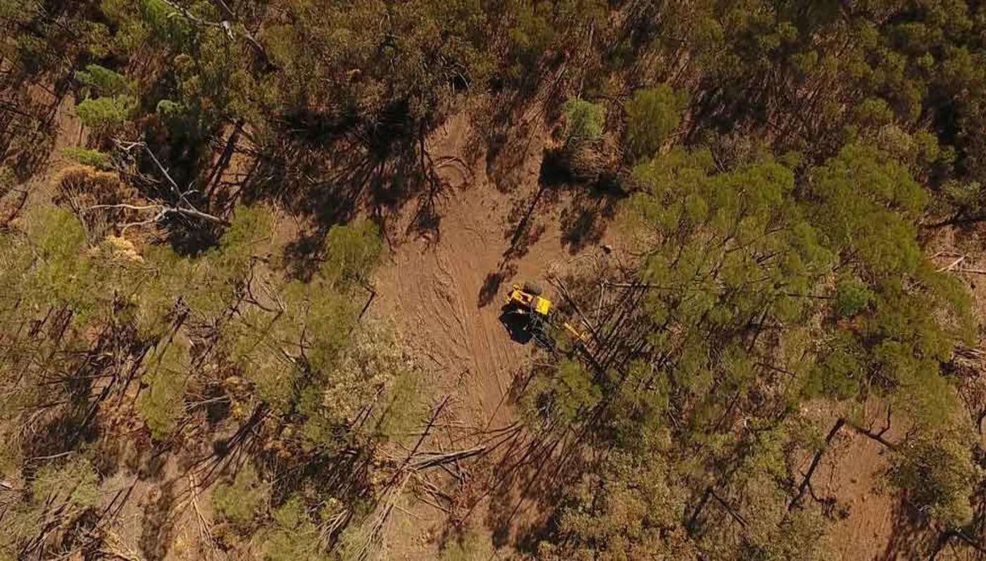 Tree thinning= Western Downs= Queensland