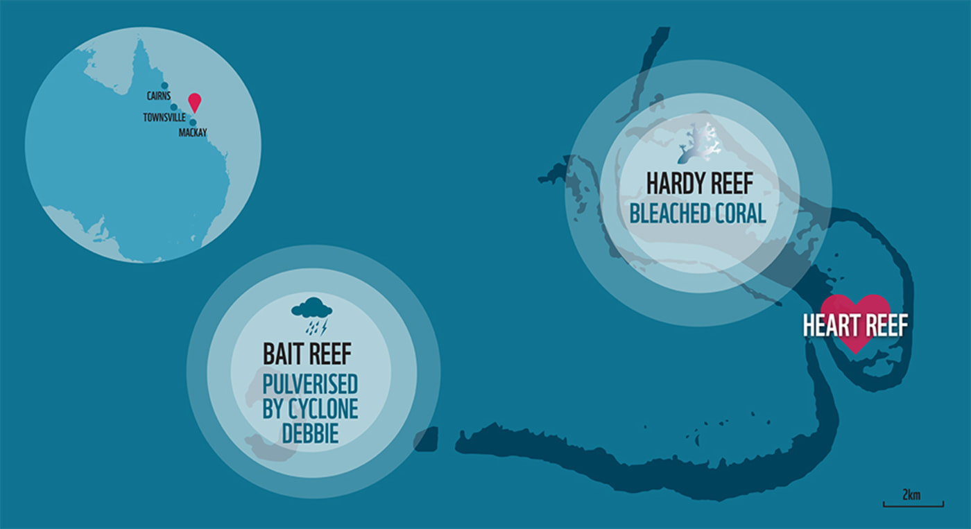 Graph showing the location of the Heart Reef and where the bleaching has occurred