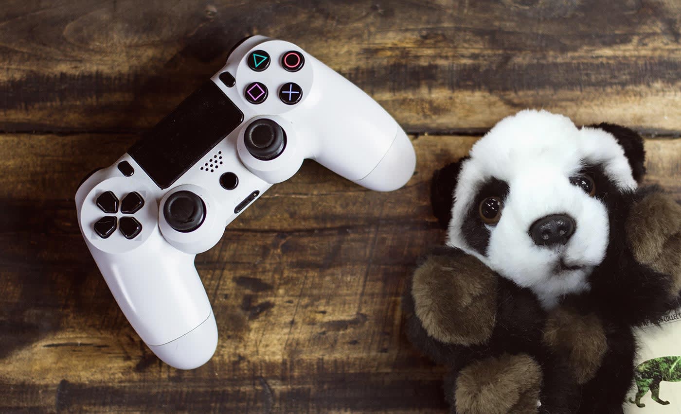 Panda and gaming controller ready for livestream