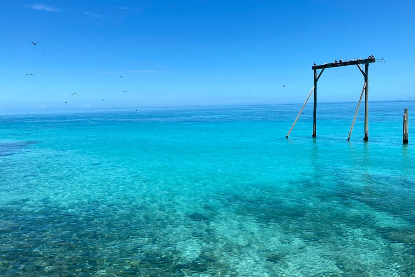 Heron Island - home of Turtle Cooling project