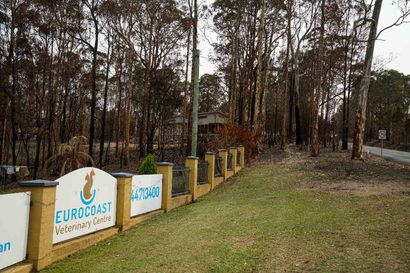 Eurocoast Veterinary Centre was on the edge of destruction