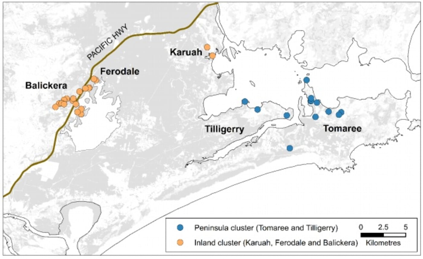 Port Stephens koala population broad structure map