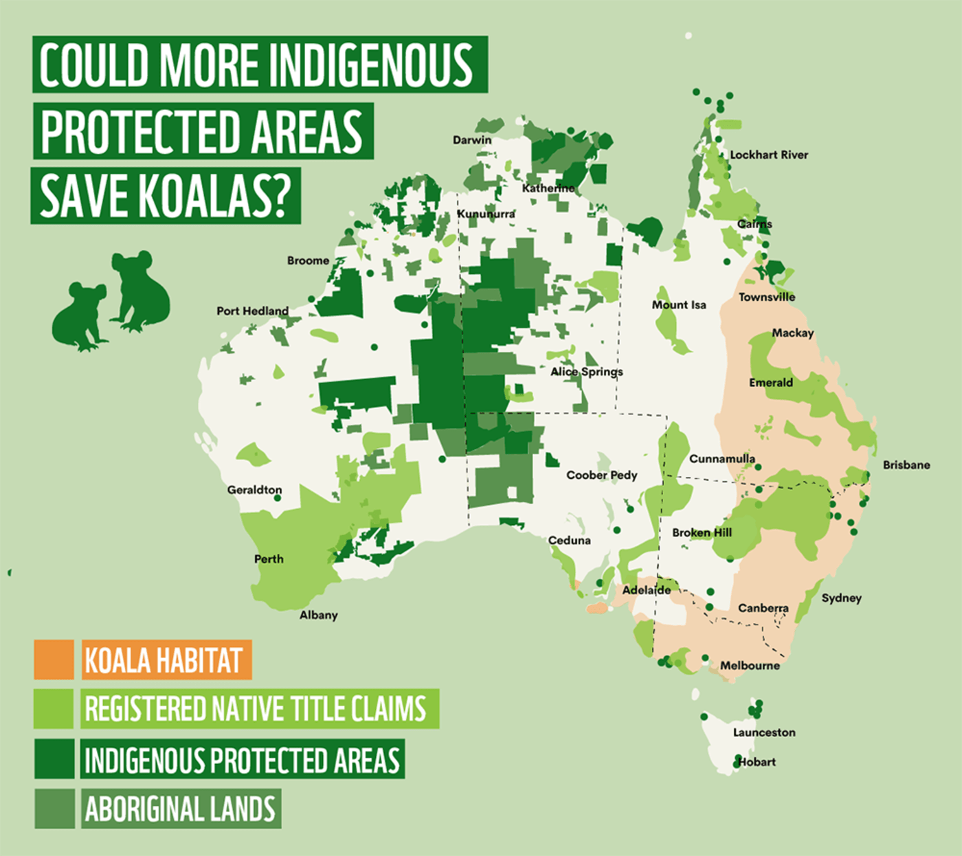 Map of Australia showing the location of Indigenous Protected Areas, existing registered Native Title claims, and viable koala habitat. For thousands of years Aboriginal and Torres Strait Islander people have cared for Country and culture through deep knowledge and strong land and sea management practices. This commitment and care continues today alongside successful claims of Native Title.