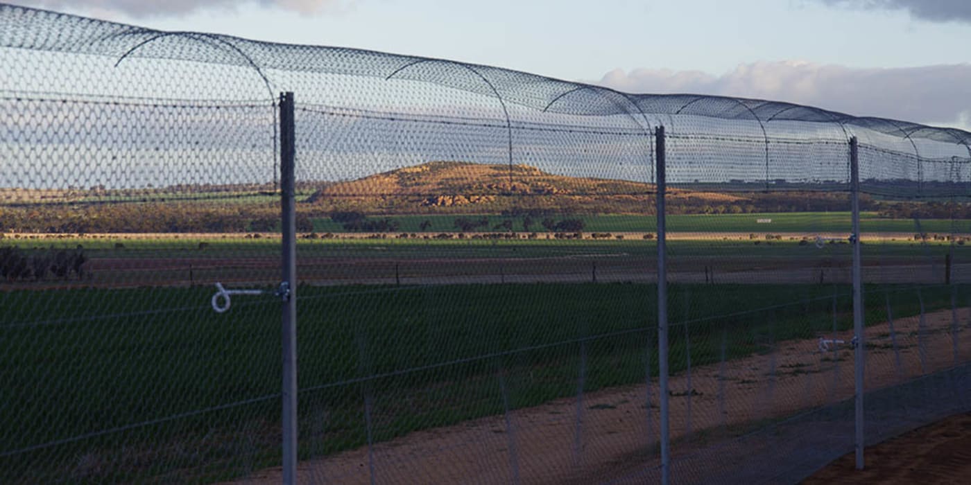 Nangeen Hill fence