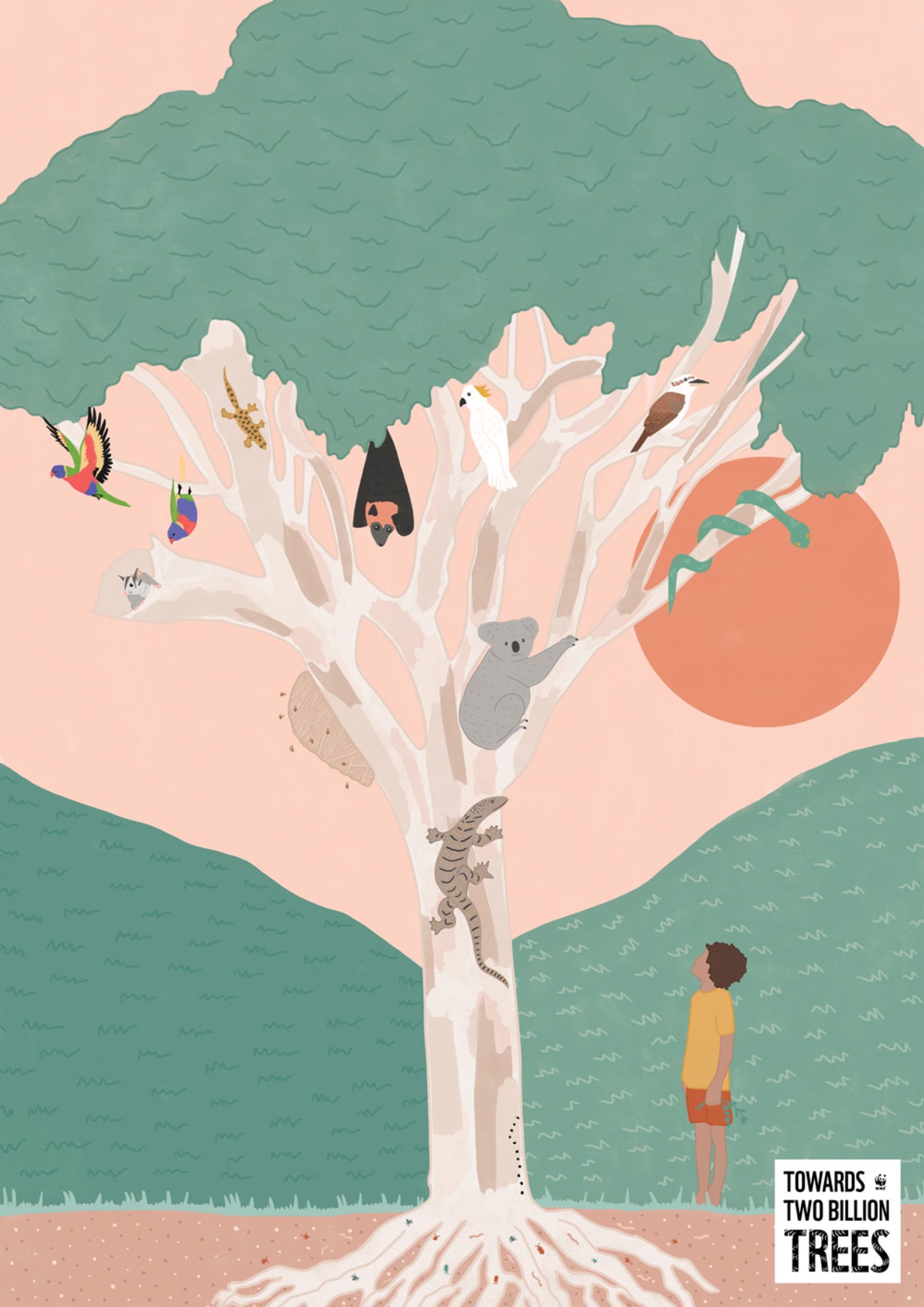 Secret Life of a Tree