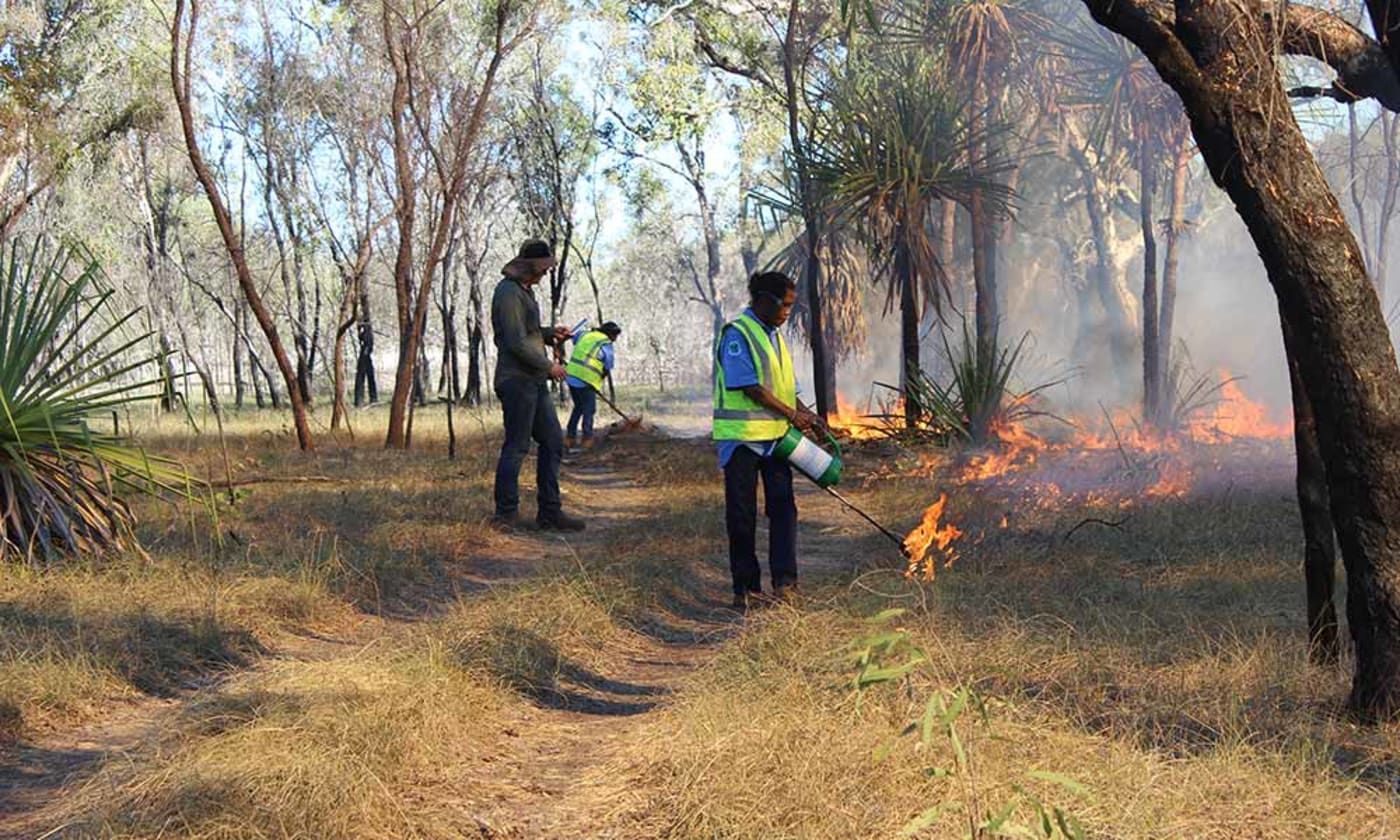 Bardi Jawi Oorany Rangers conduct cool burning to reduce the impact of late-season wildfires