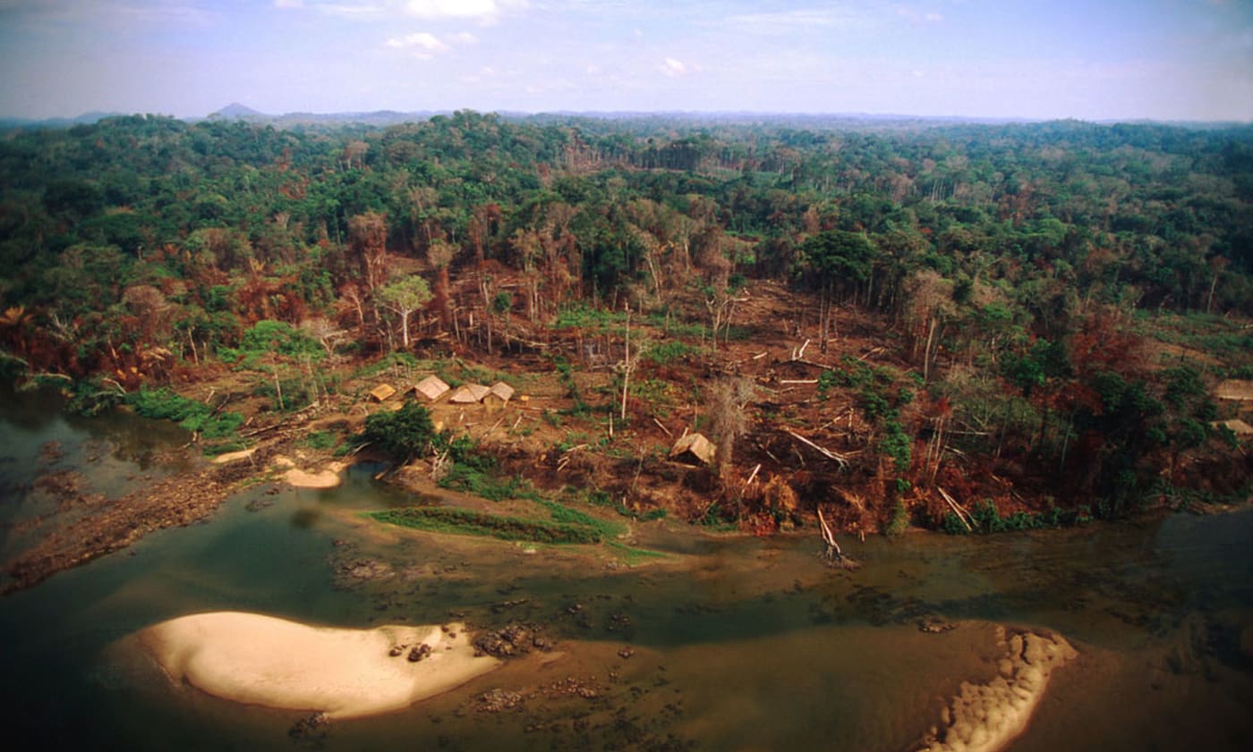 Amazon burnt by forest fires and surrounded by agricultural land
