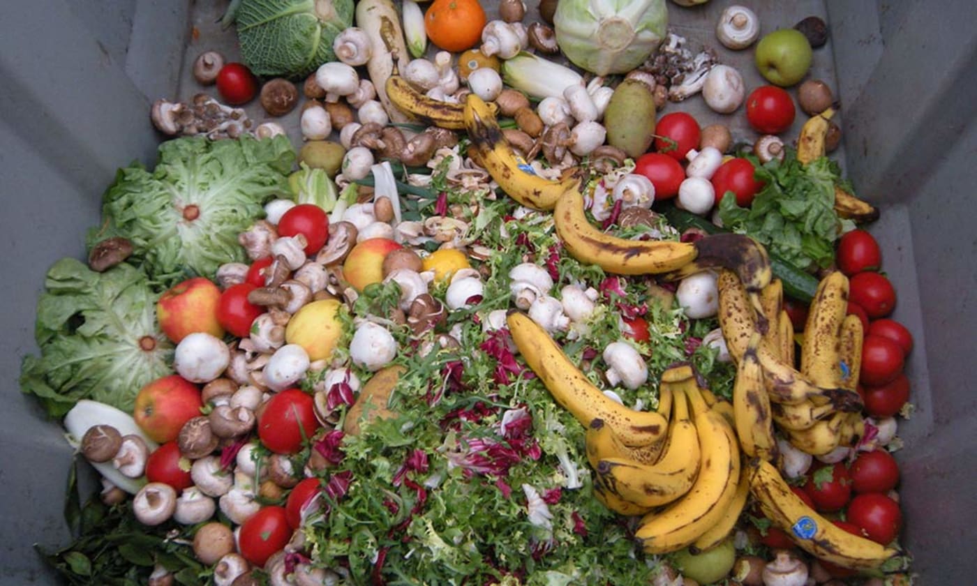 Trashed vegetables in dumpster