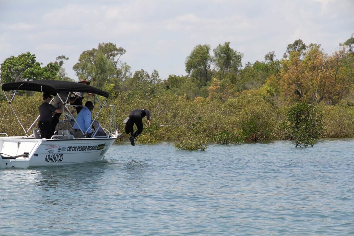 Gudjuda Ranger Aron diving in to catch a green sea turtle in Bowen, Queensland