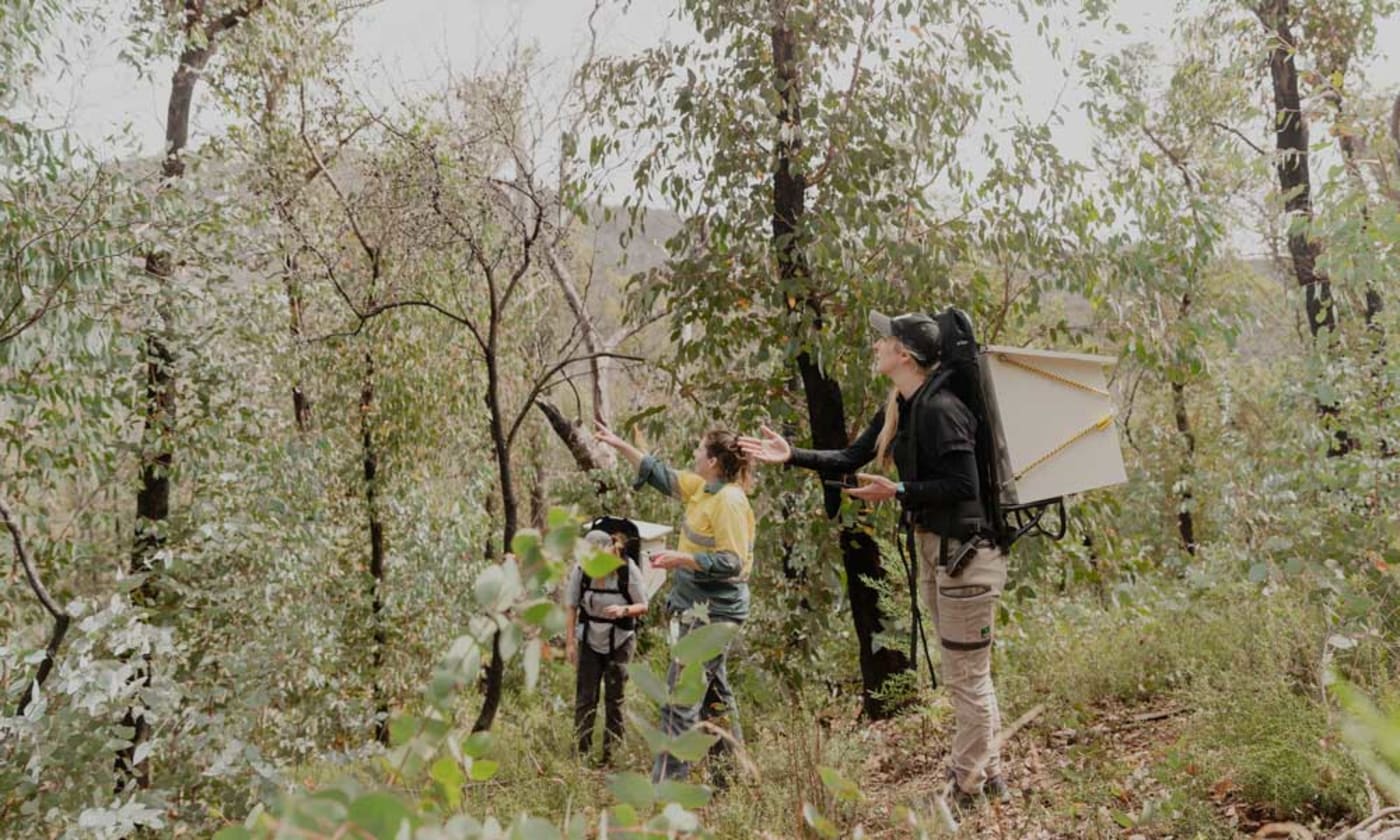 Dr Kita Ashman (WWF-Australia) and Jenna Ridley (Australian National University) look for a tree to install greater glider nest boxes in Tallaganda National Park= NSW