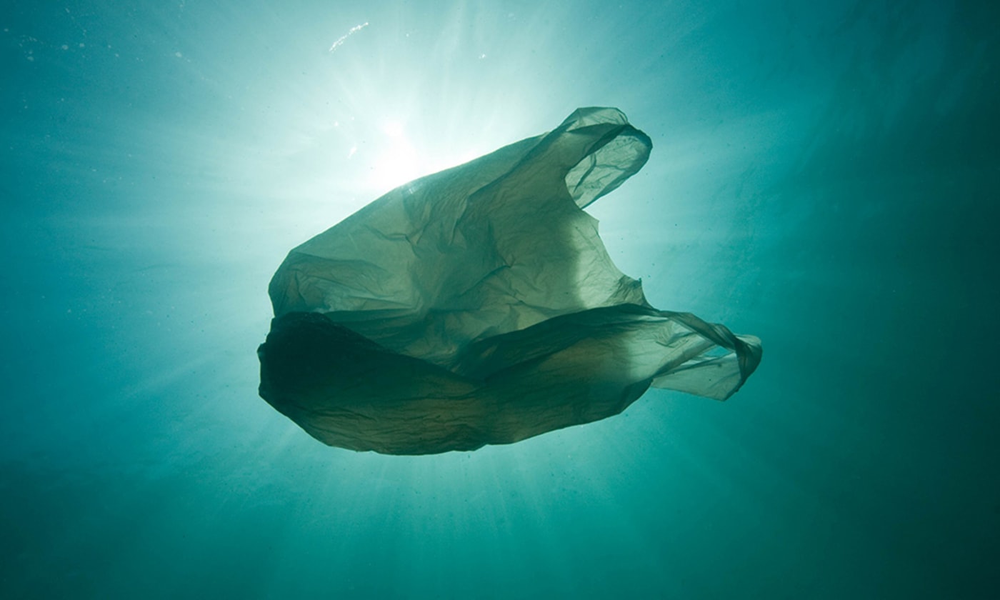 Plastic bag floating in the ocean