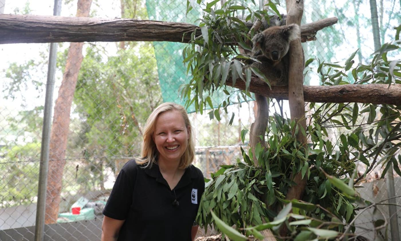 Rachel Lowry= Chief Conservation Officer of WWF-Australia with a koala at Friends of the Koala= Lismore