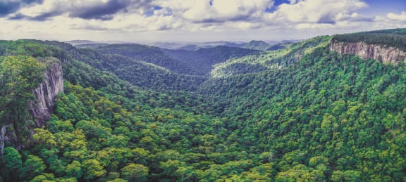 Aerial panorama of rainforest and rugged cliffs. Springbrook National Park, Queensland, Australia