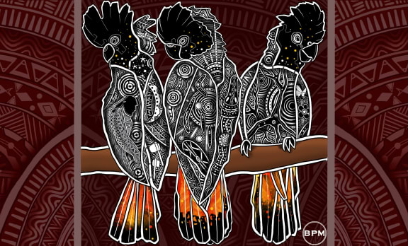 Indigenous glossy black cockatoo Art Wallpaper from Beau Pennefather-Motlop