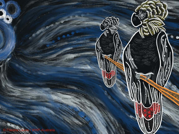 Indigenous art depicting the glossy black cockatoo by Gumbaynggirr, Bundjalung and Kalkadoon artist Fileisha Laurie