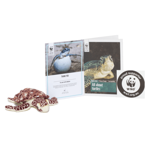 Hawksbill Turtle Adoption pack