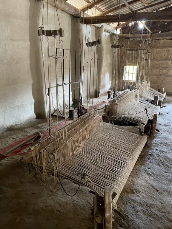 Weaving looms in the village in the Terai Arc Landscape, India, where WWF-Australia is supporting our colleagues at WWF-India to train and develop women's self-help groups that develop alternative livelihoods and sustainable business models for women living in communities adjacent to and within tiger habitat.
