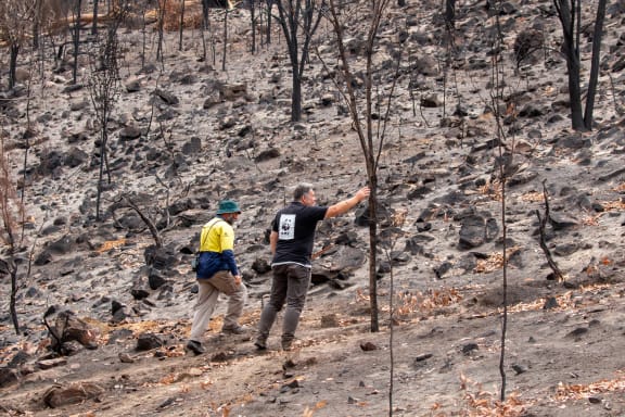 Mike Barth from Natural Resources Kangaroo Island and Darren Grover from WWF-Australia survey the fire damage to glossy black cockatoo habitat in Lathami Conservation Park