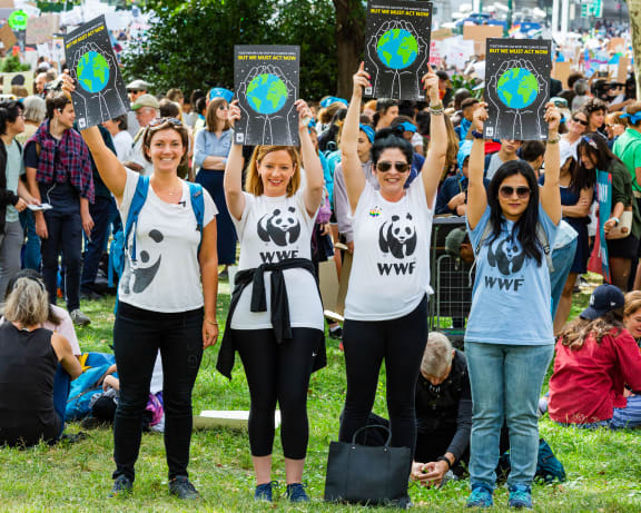 Four women holding signs at Climate March 2019 in New York, New York.