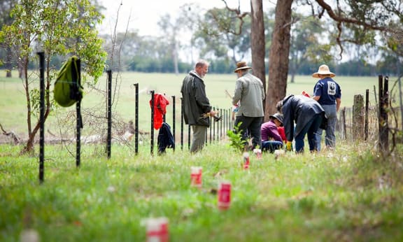 Planting trees