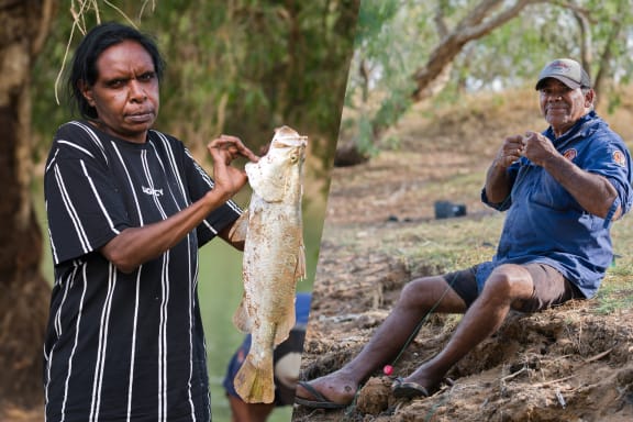 Warru Ranger Gwenda Watson and Nyikina Mangala Ranger Raymond Charles with barramundi caught in the Martuwarra (Fitzroy river), Camballin, West Kimberley region, WA.