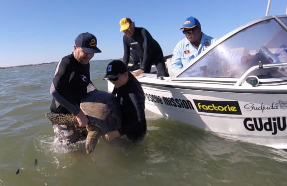 WWF supporters Chris and Allan helped release a turtle after it had been tagged