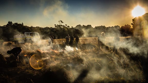Ardrossan grasslands burn site