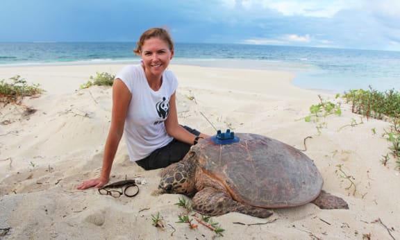 WWF-Australia’s marine scientist, Christine Hof, with a hawksbill turtle that has been paired with a satellite tracker on Milman Island, February 2017