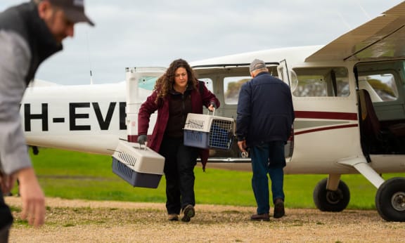 Dr Liberty Olds, Conservation Manager, Zoos SA unloading bettong carriers from charter plane