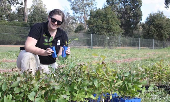 Rebecca Boyland from WWF-Australia at a trees/shrubs planting for black cockatoos at Karakamia Sanctuary