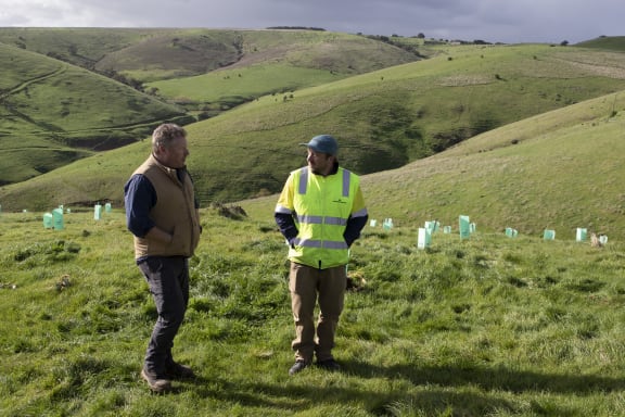 Ed Vercoe (Olive and Cattle Farmer) and Andrew Woodroffe (Senior Program Officer, Greening Australia).

WWF-Australia and Greening Australia, with the help of RAW Group are planting Glossy Black Cockatoo habitat trees - Sheoaks, on a farmer's property (Ed Vercoe) down at Carrickalinga, South Australia.